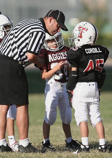 伊朗总统 伊朗总统